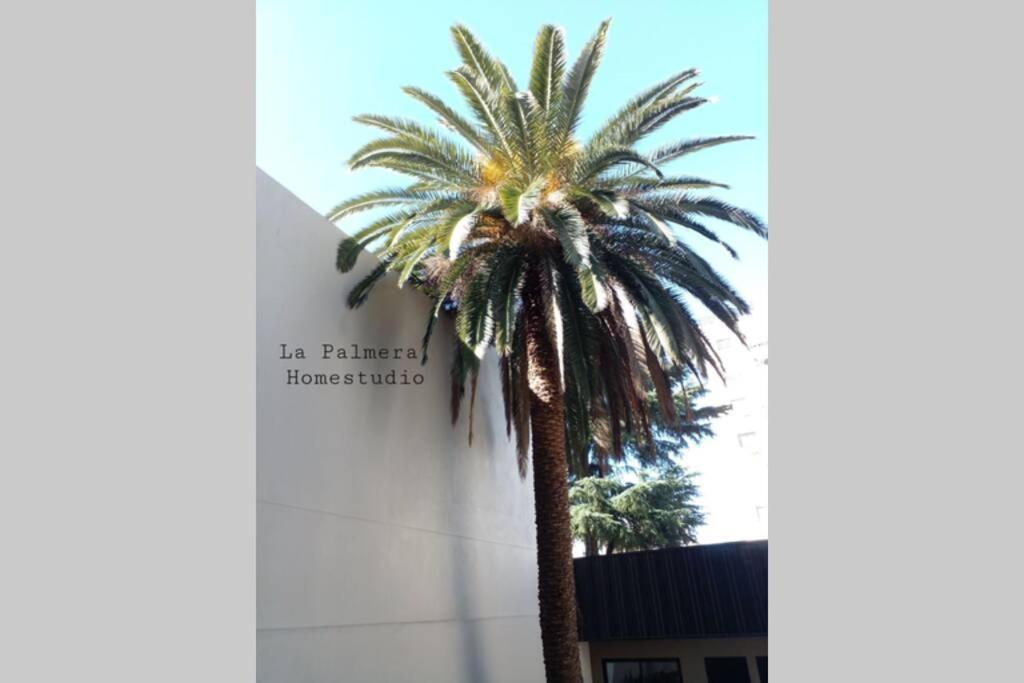 La Palmera Homestudio. Hermoso Apartamento En El Corazon De Palermo Hollywood Buenos Aires Bagian luar foto